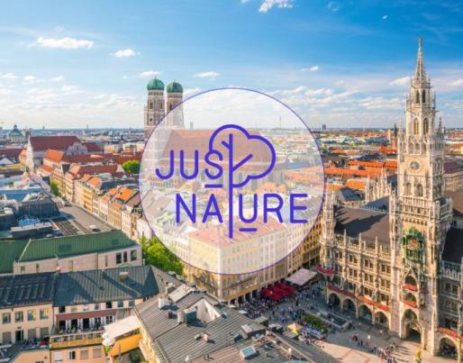 justnature twin city call