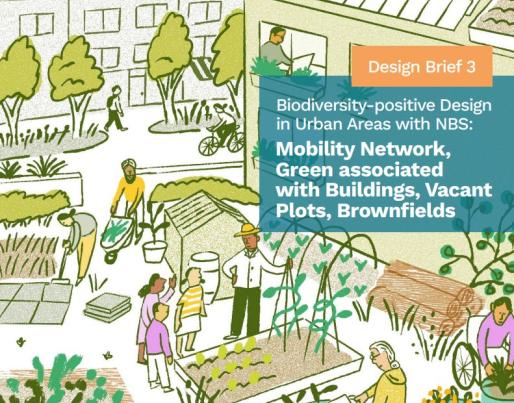 Network Nature Design Brief