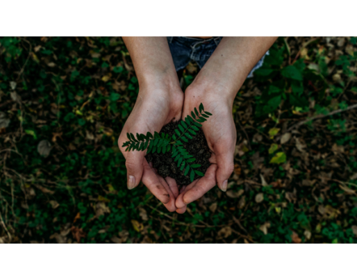 Photo by Noah Buscher on Unsplash