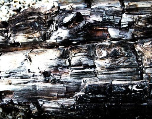 Burned wood