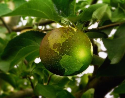 Sustainability, green world