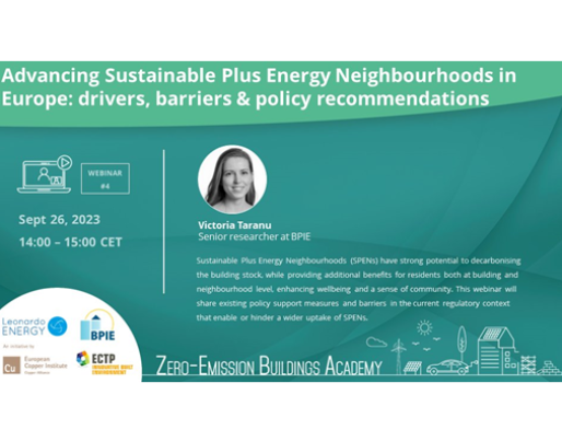 Advancing Sustainable Plus Energy Neighbourhoods in Europe