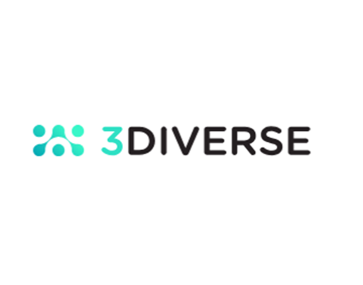 3DIVERSE