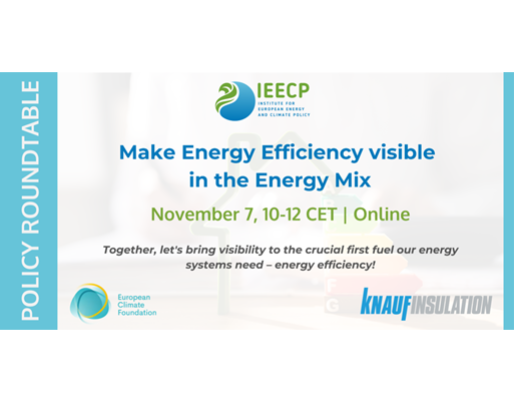 Make Energy Efficiency visible in the Energy Mix