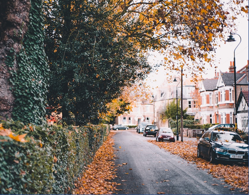 Photo by Nicolas J Leclercq on Unsplash