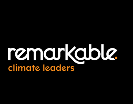 Remarkable project