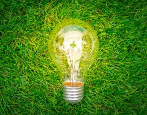 Light bulb on grass, sustainability