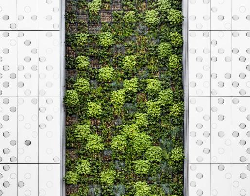 green facade modern building