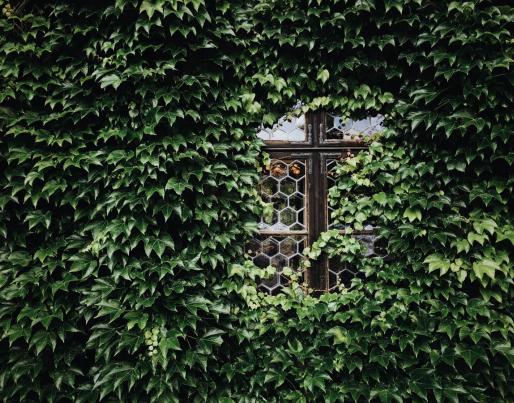 green facade window