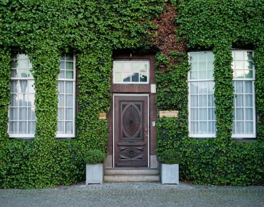 green wall facade building