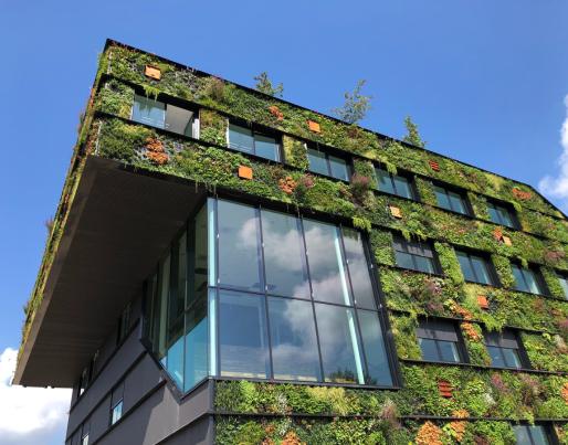 green wall facade modern building