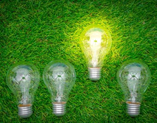 Light bulbs on grass
