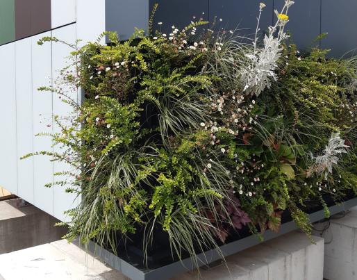 green wall eurac lab