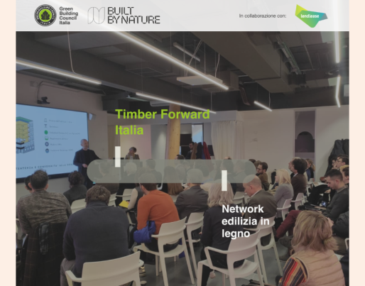 Timber flyer