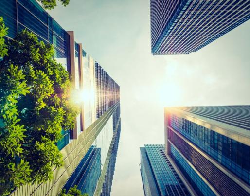 Skyscrapers with green trees and sky
