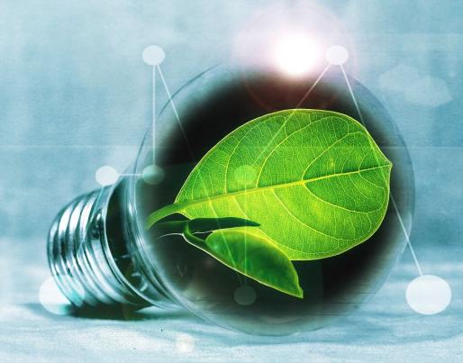 Lightbulb with green leaf