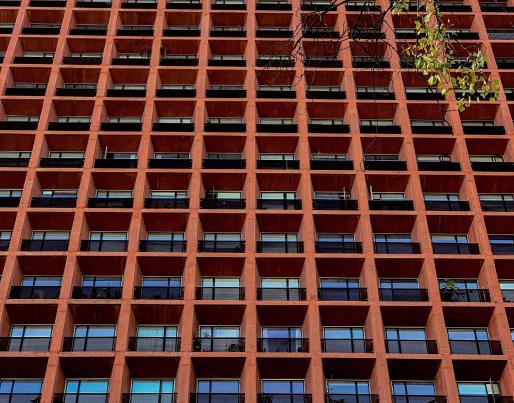 A photo of a high rise building, with some tree branches entering the frame.