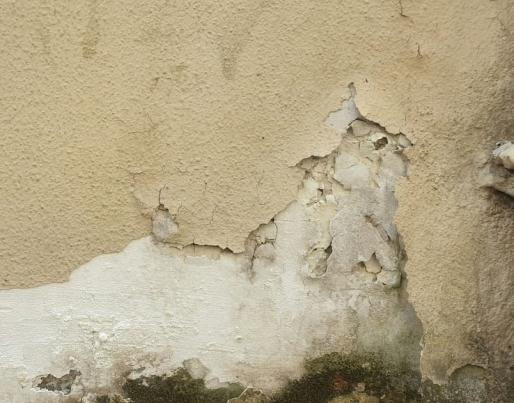 texture humidity wall
