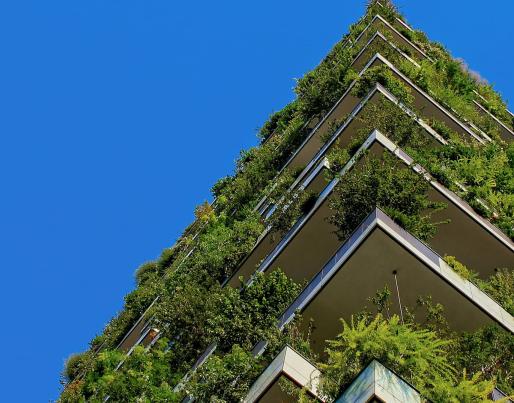 green roof facade building