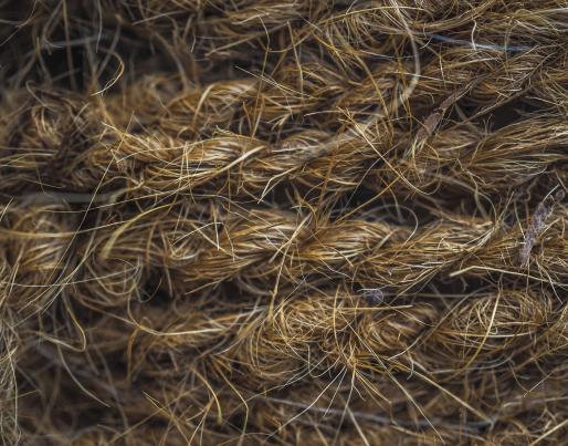 Hemp fiber