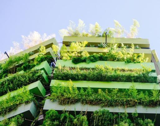 building green facade sustainable