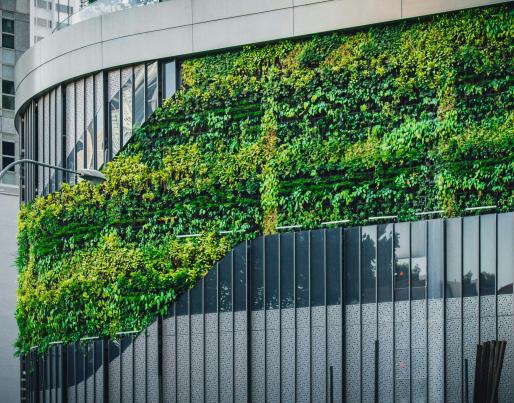 A green facade