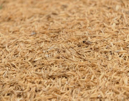 A pile of brown rice