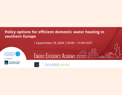 Policy options for efficient domestic water heating in southern Europe
