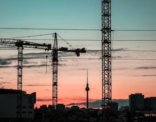 Cranes in Berlin at dawn