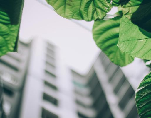 A blurred building