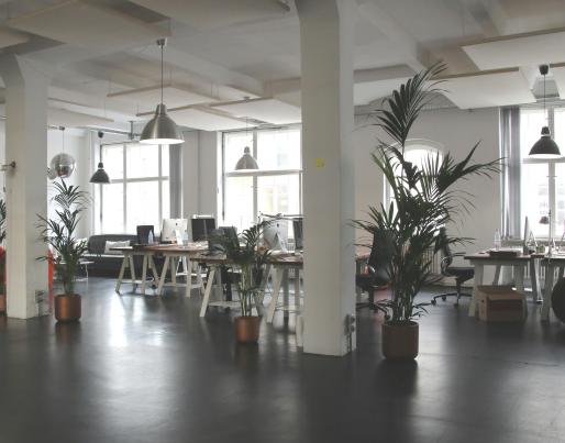An office with plants