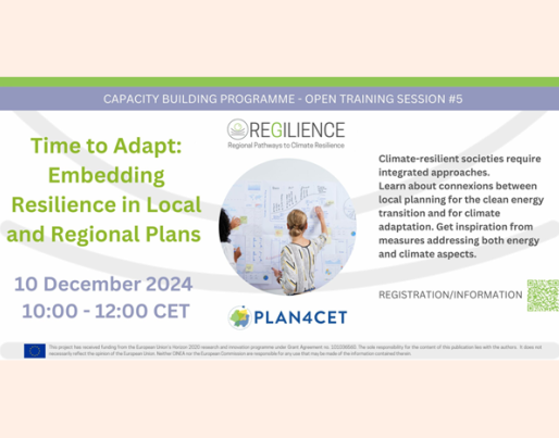 Embedding Resilience in Local and Regional Plans