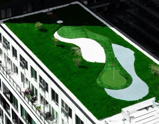 green roof building