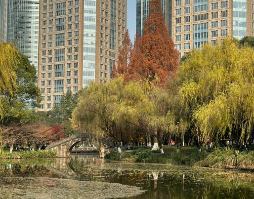 An urban park with skyscrapers