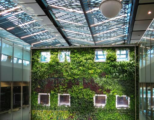 A green facade