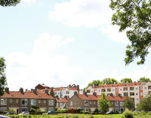 Houses amidst green