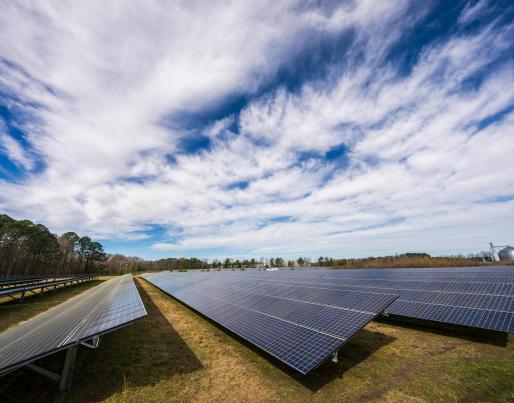 Field of PV panels