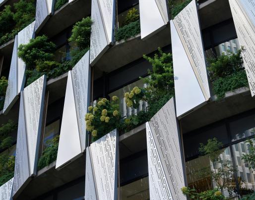 roadmap for decarbonising buildings