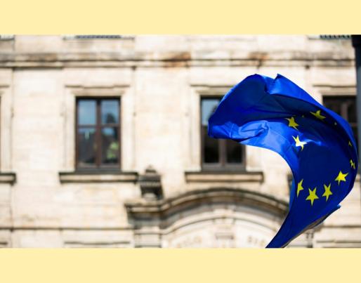 EU Flag