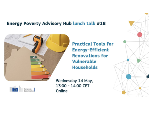 #18 Lunch Talk: Practical Tools for Energy-Efficient Renovations for Vulnerable Households