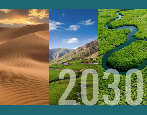 UAE 2030