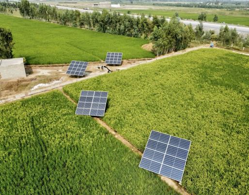 The image shows several solar panels installed in a green field, with trees and a road in the background.