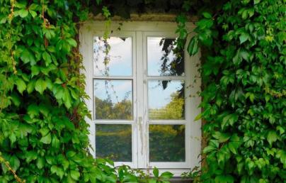 Green façade and a window. Image by Angelika Graczyk from Pixabay