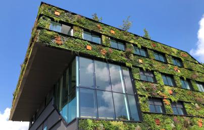 green wall facade modern building