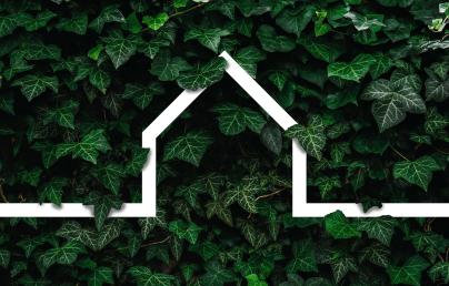 stylised house with leaves