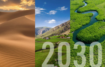 UAE 2030