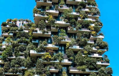 Vertical forest building