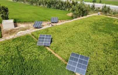 The image shows several solar panels installed in a green field, with trees and a road in the background.