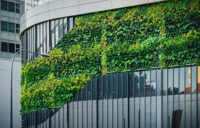 Green façade in a building