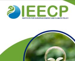 IEECP publication